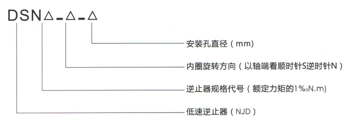 dsn逆止器型号定义